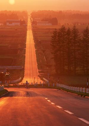 半田市で車検をお考えの方にお勧め