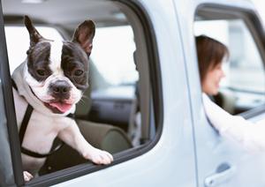 新車の輝きの岐阜のガラスコーティング